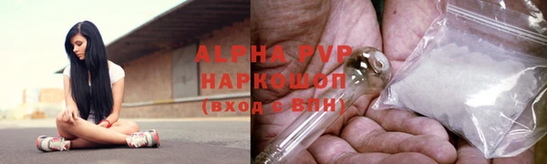 винт Алексин