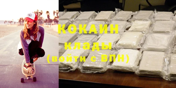 прущие грибы Осинники