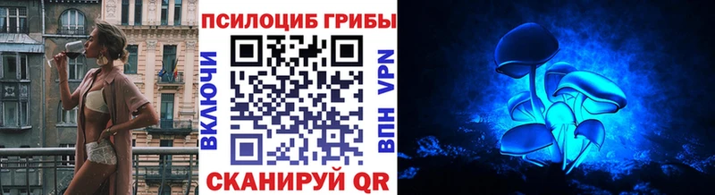 Галлюциногенные грибы Psilocybe  Белоярский 